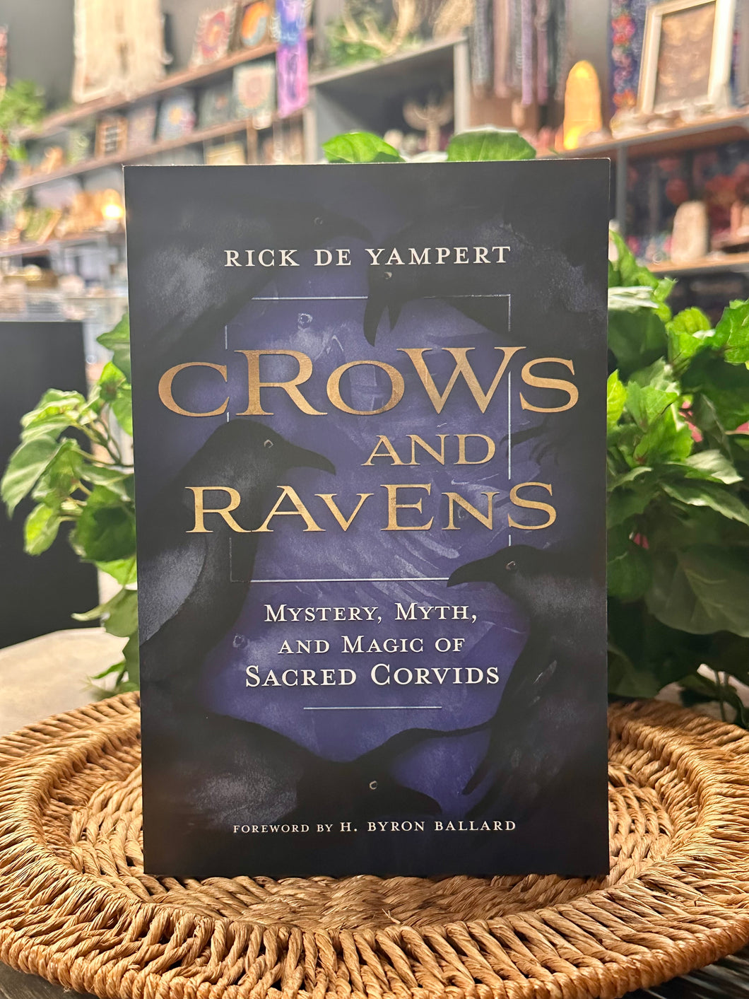 Crows & Ravens
