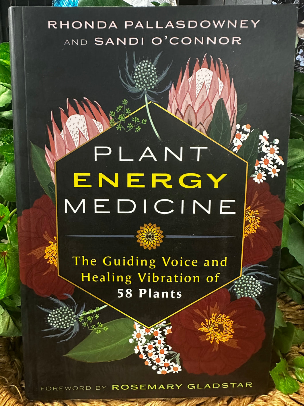 Plant Energy Medicine