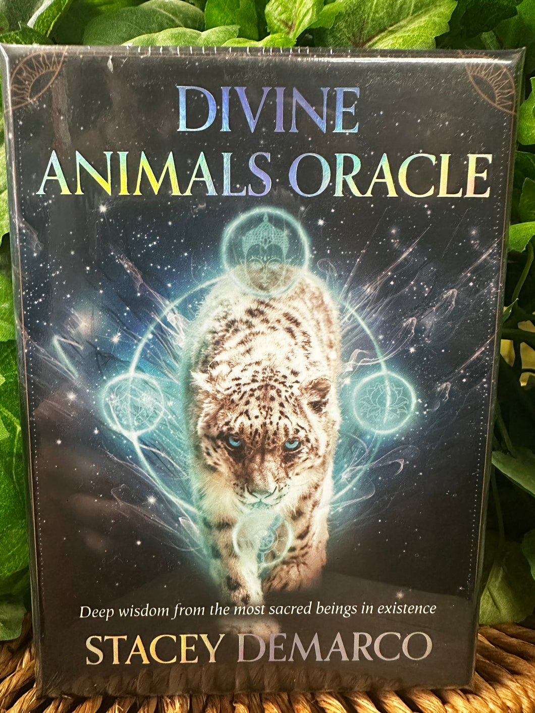 Divine Animals Oracle