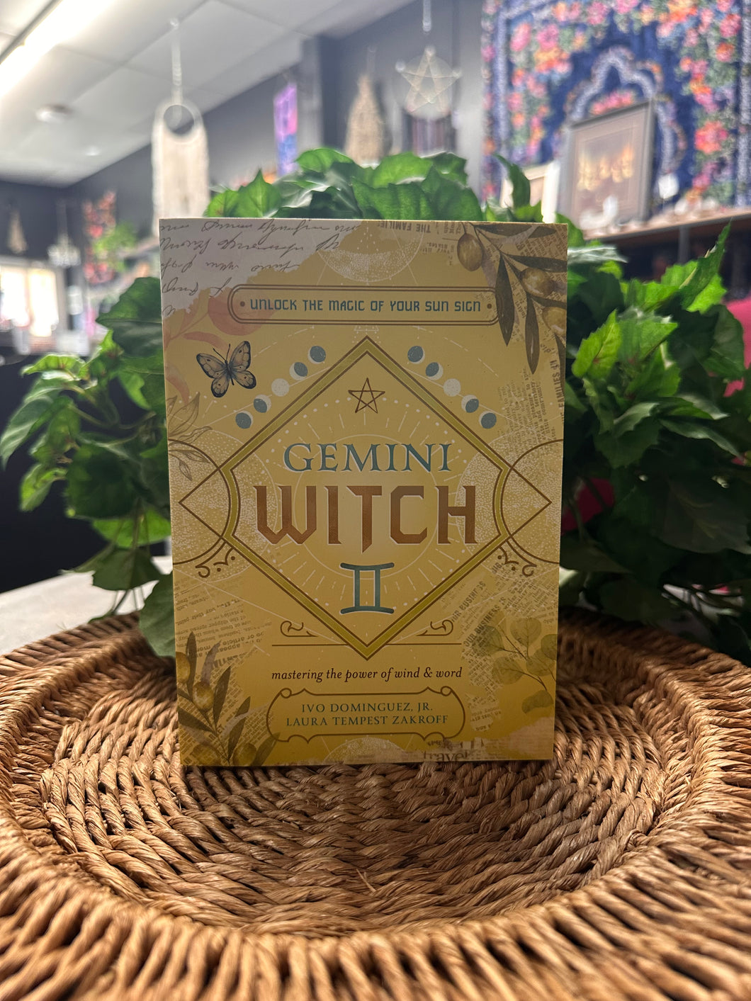 Gemini Witch