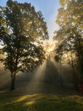 Load image into Gallery viewer, Emergence: A Women’s Spring Retreat
