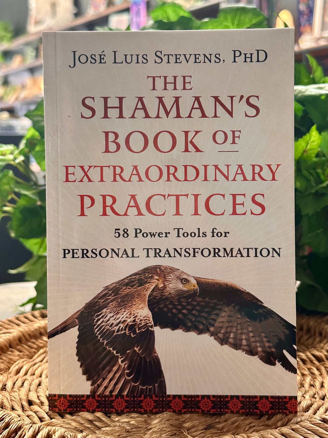Shamans Book of Extraordinary Practices