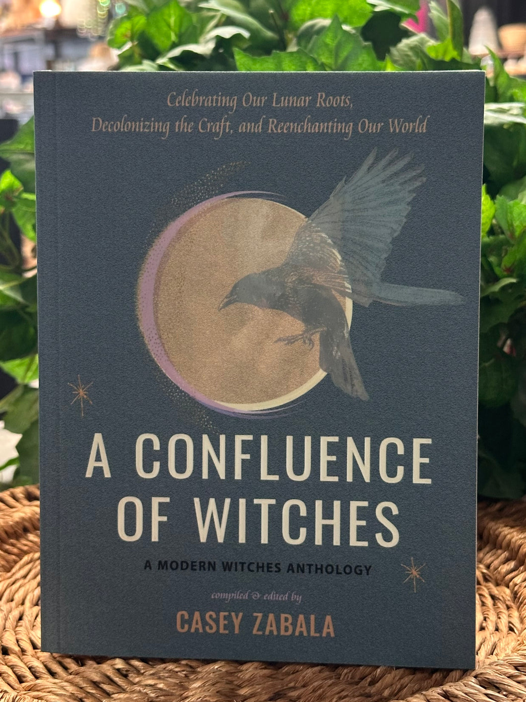 Confluence of Witches