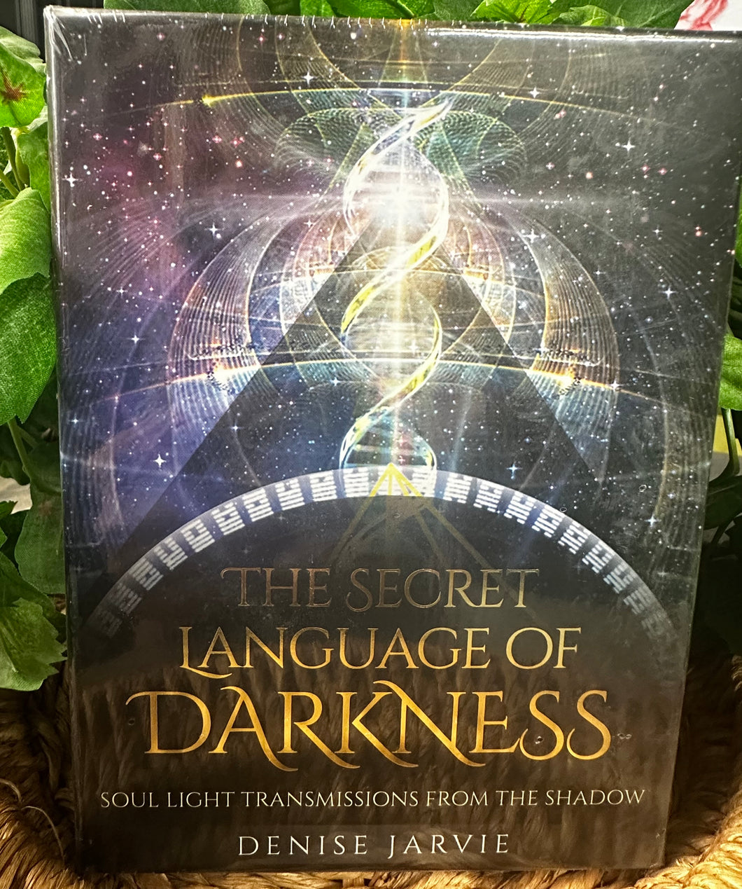 Secret Language of Darkness