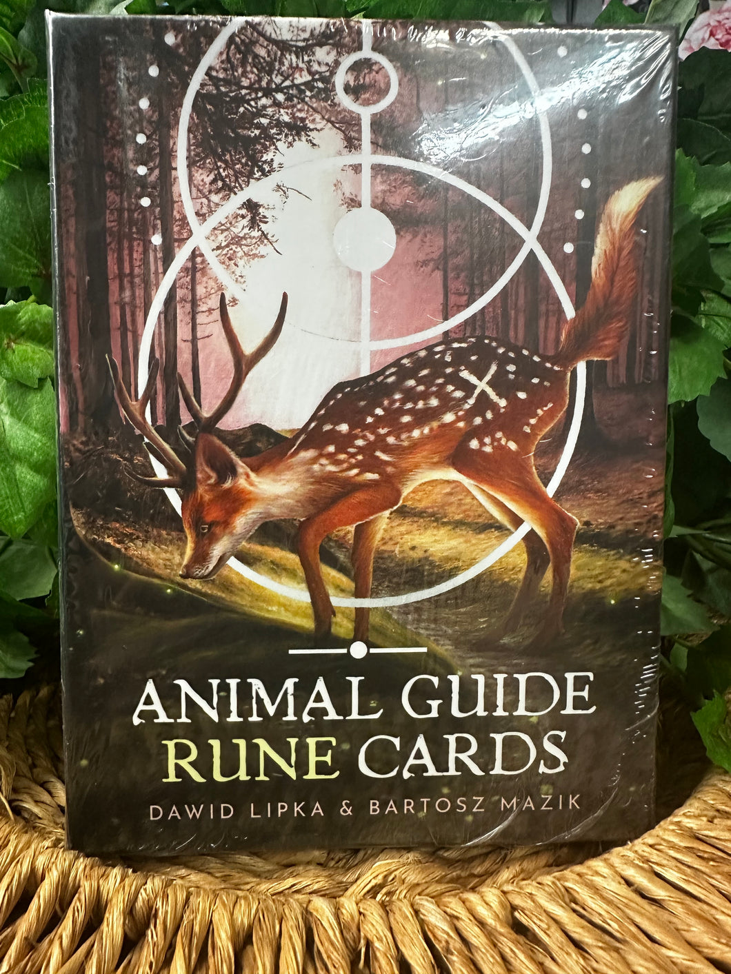 Animal Guide Rune Cards