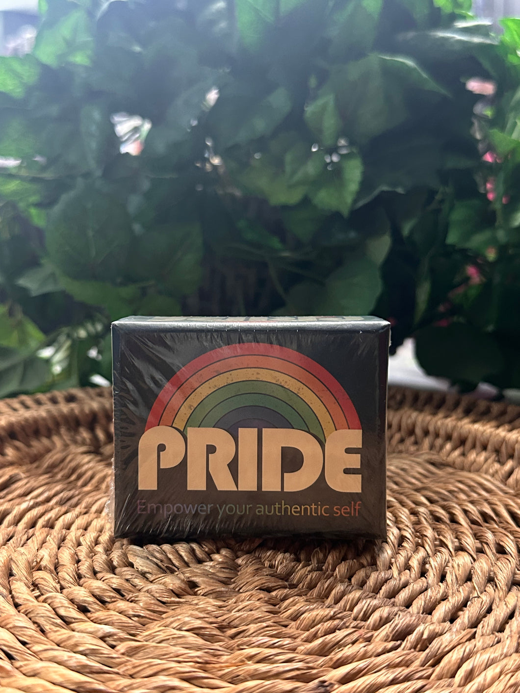 Pride Mini Deck