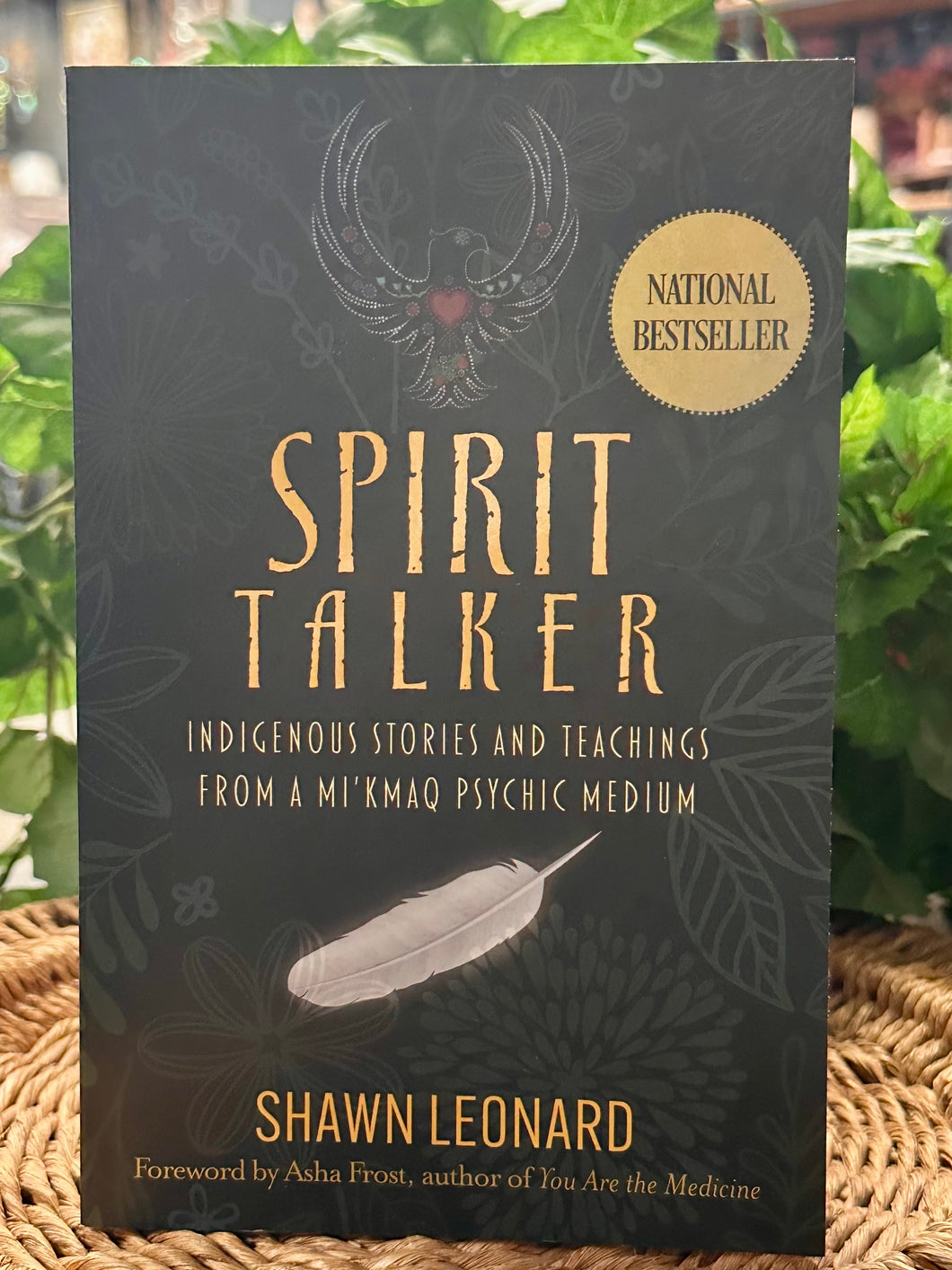 Spirit Talker