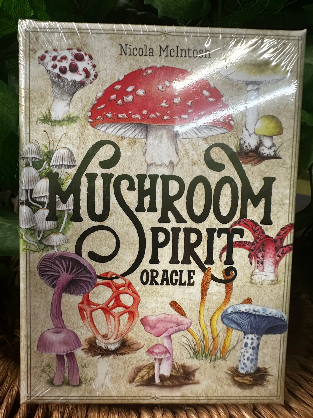 Mushroom Spirit Oracle