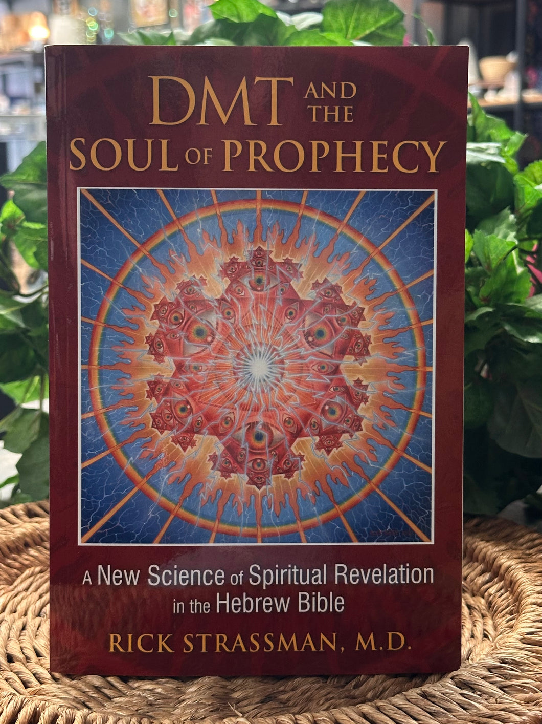 DMT and the Soul of Prophecy