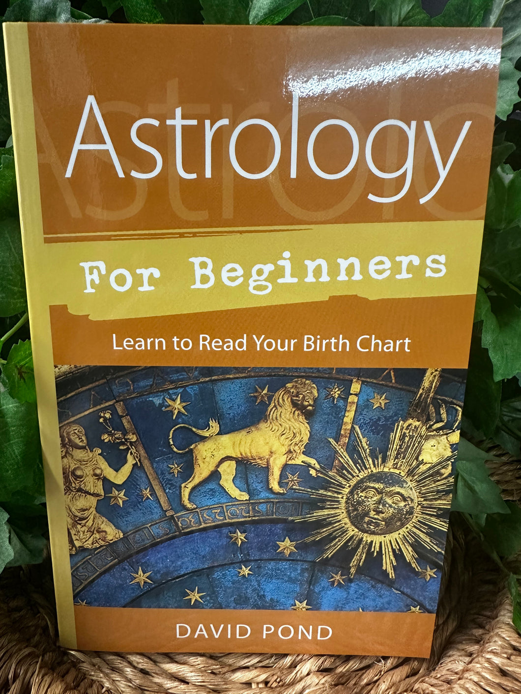 Astrology for Beginners