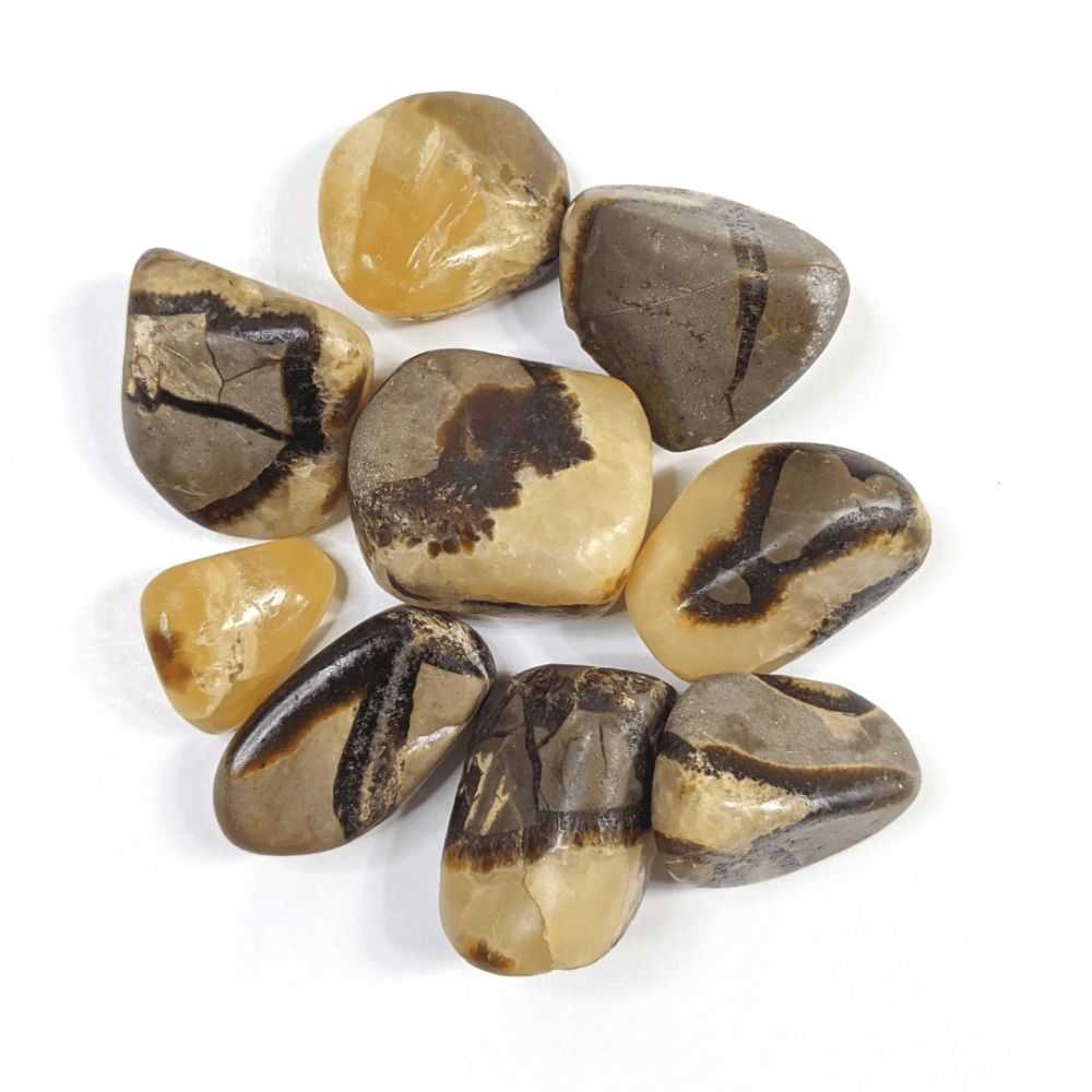 Septarian