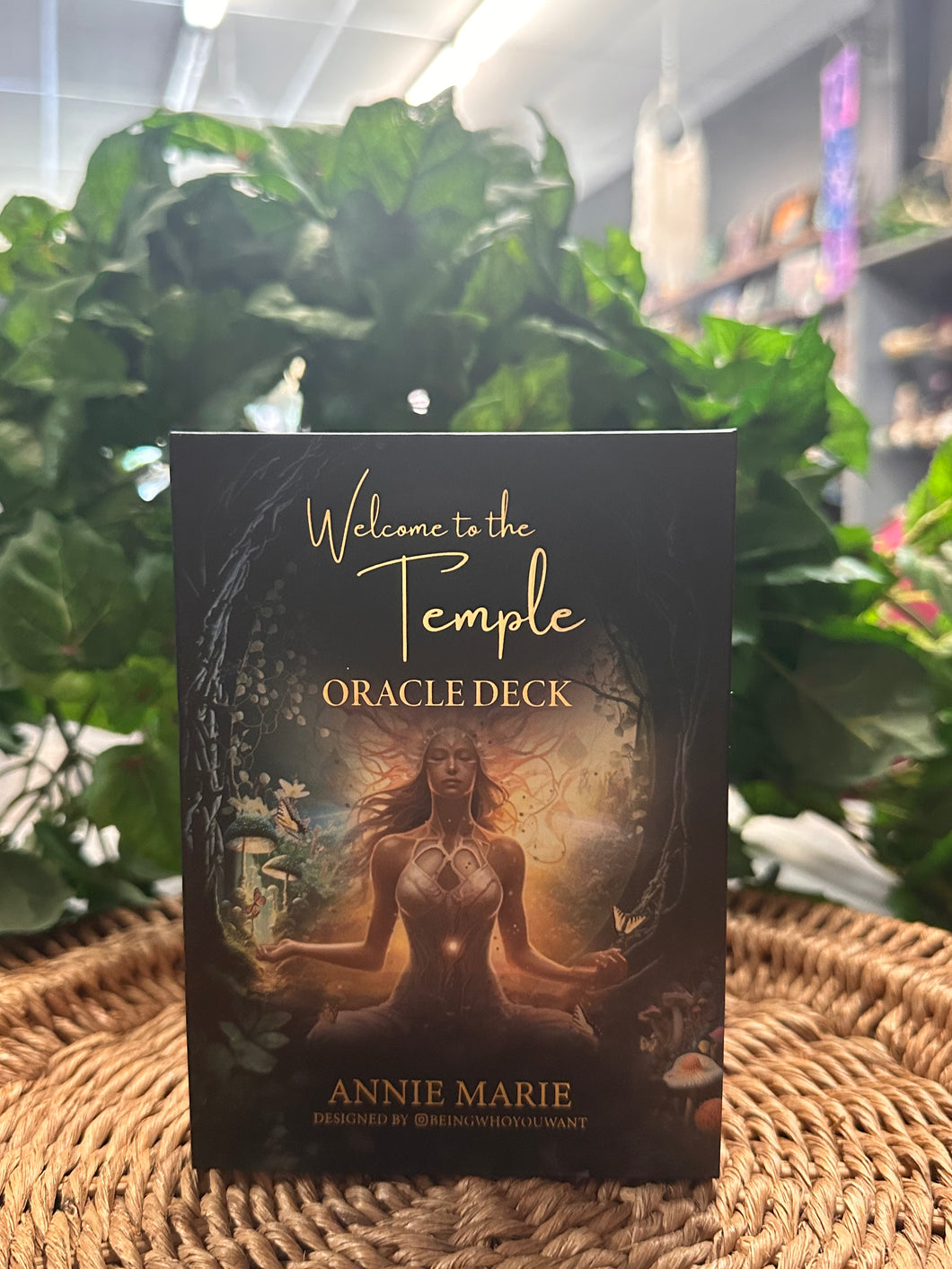 Welcome to the Temple Oracle Cards by Annie Marie