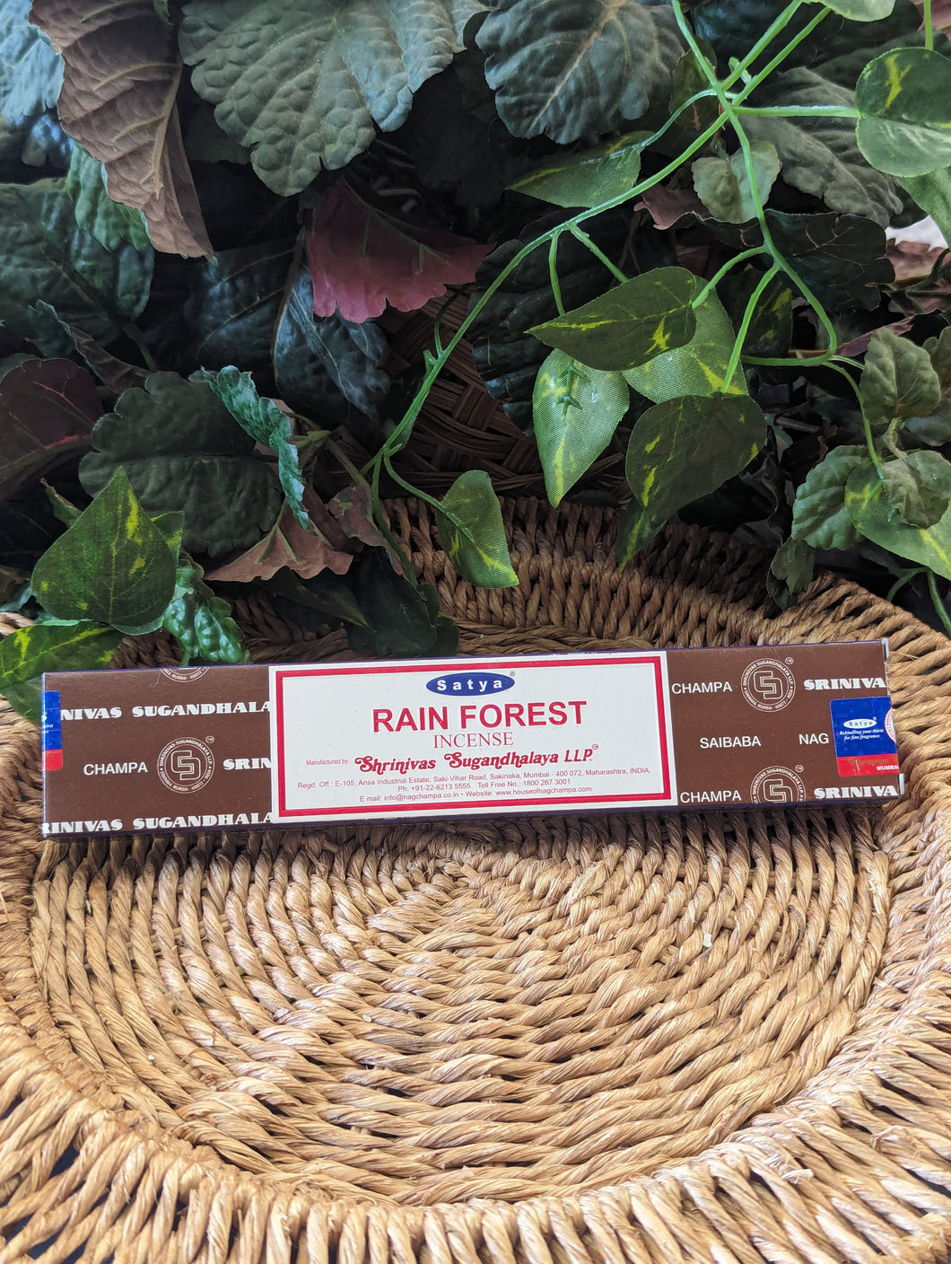 Rain Forest Incense