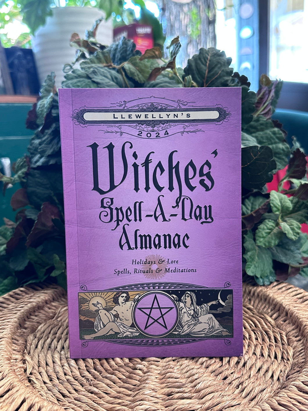 Llewellyn 2024 Witches Spell a Day