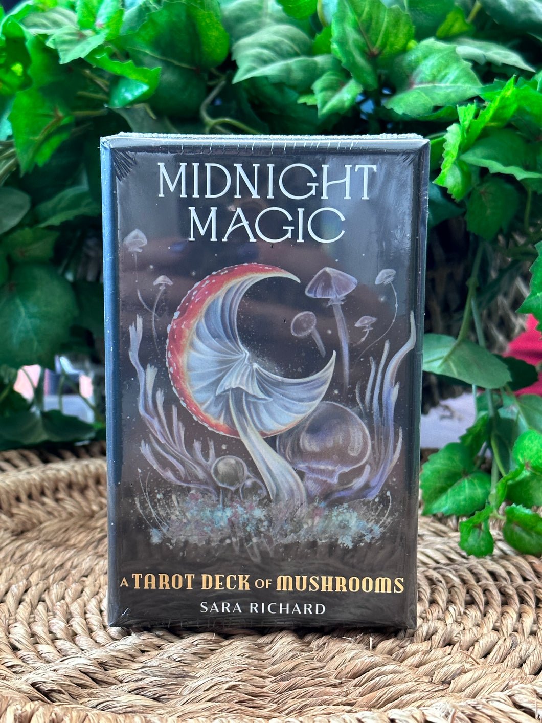 Midnight Magic A Tarot Deck of Mushrooms