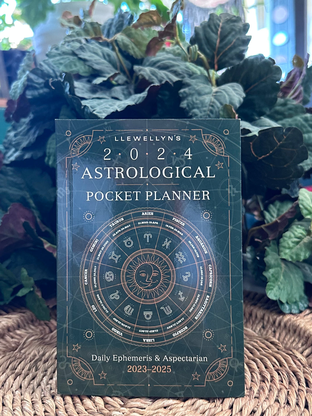Llewellyn 2024 Astrology Pocket Planner