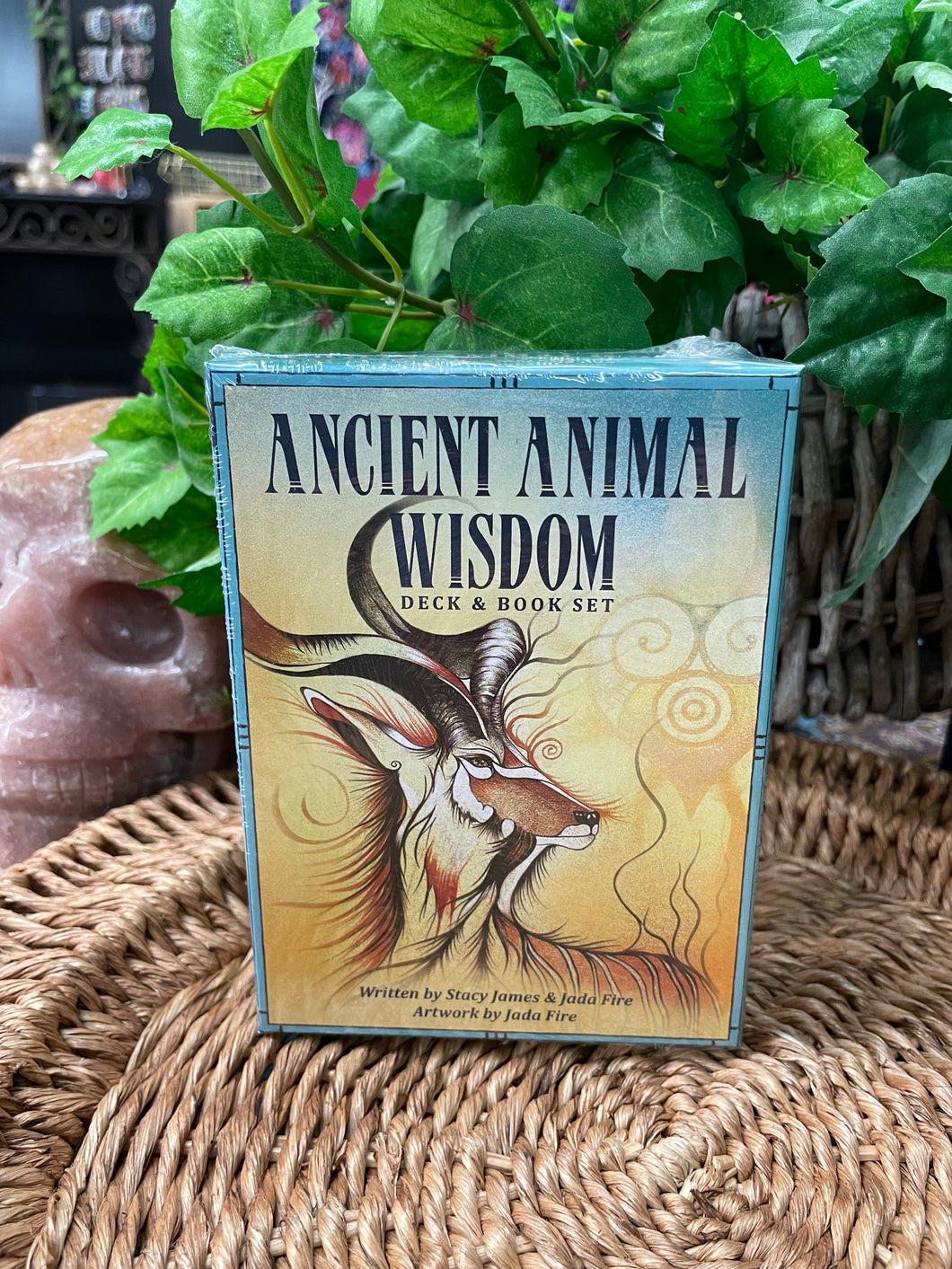Ancient Animal Wisdom