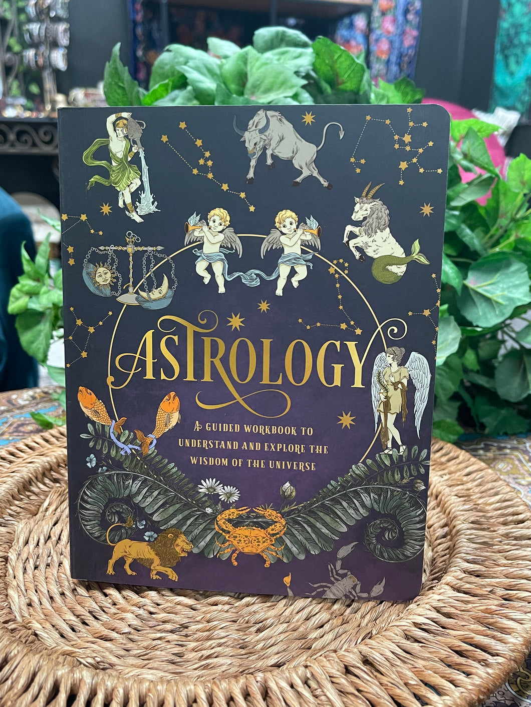 Astrology: Guide Workbook