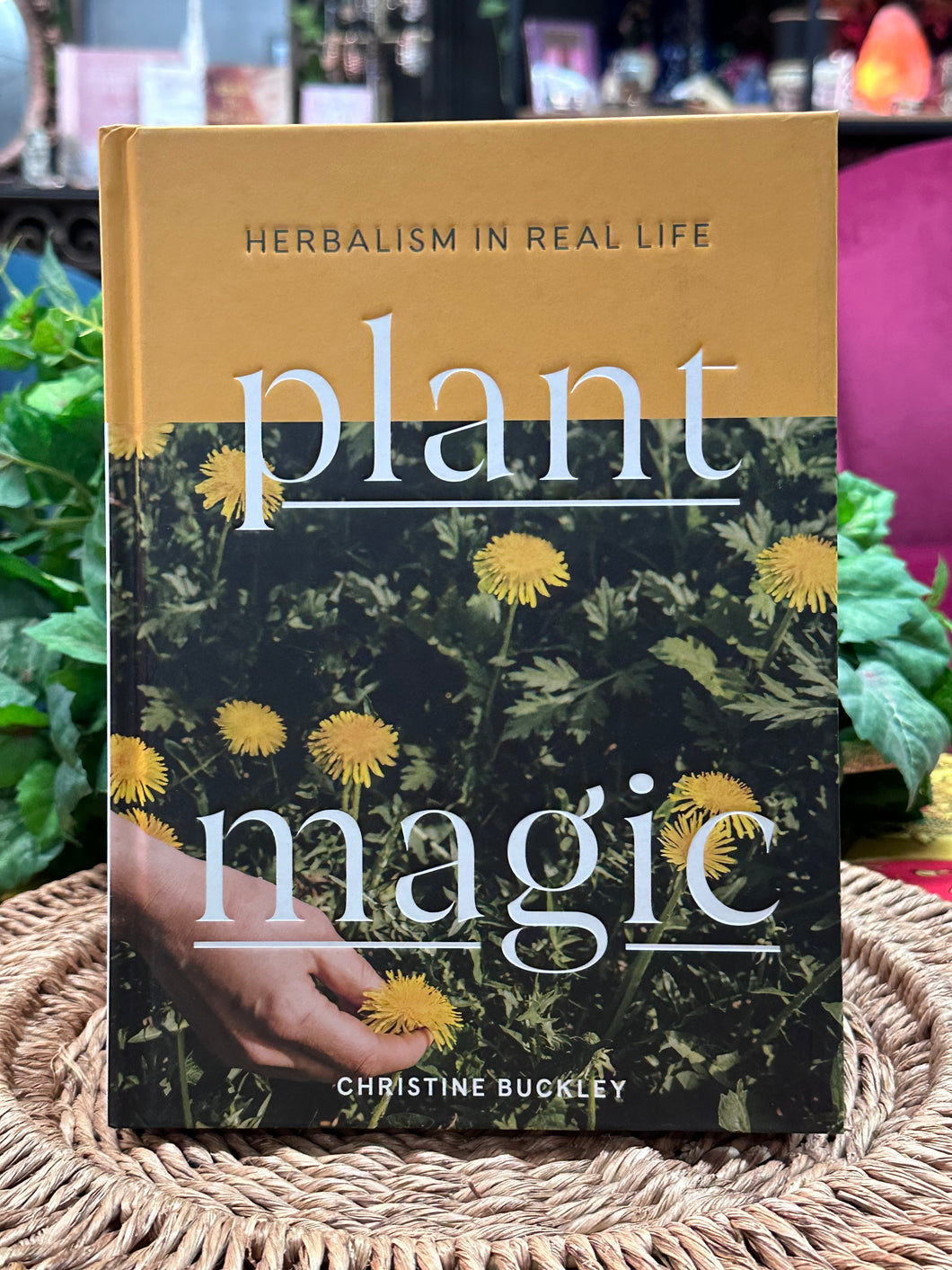 Plant Magic